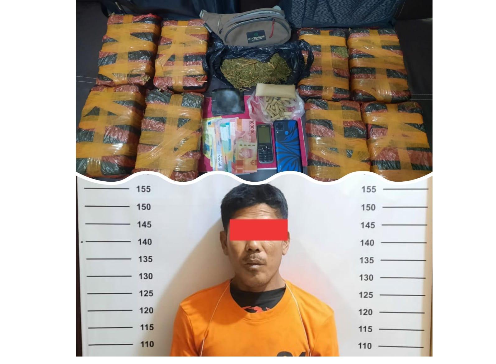Satres Narkoba Polres Labuhanbatu Amankan Tersangka Pengedar Ganja 7,4 Kg