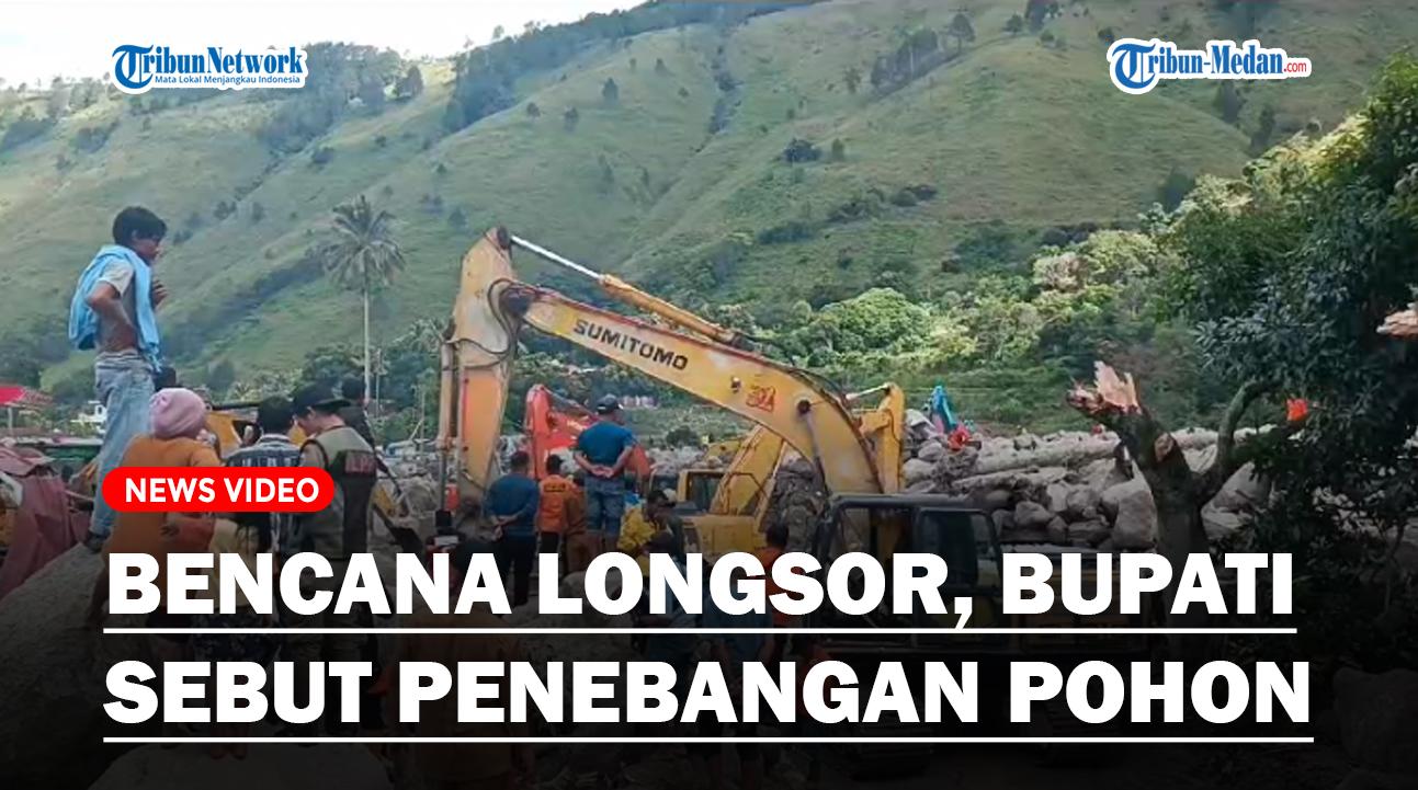 sebut-penebangan-liar.jpg