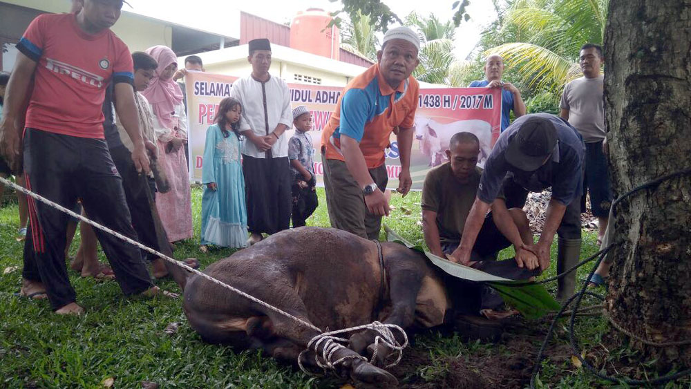 sembelih-hewan-kurban_20170901_175423.jpg