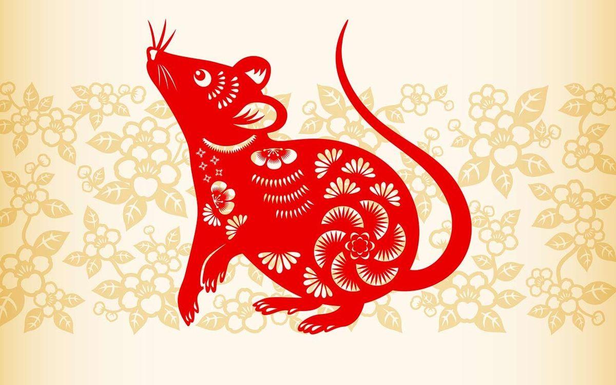 Shio Tikus tak Kalah Gacor Rezekinya dari Shio Naga Menurut Ramalan Shio Hari Ini 25 Juni 2025