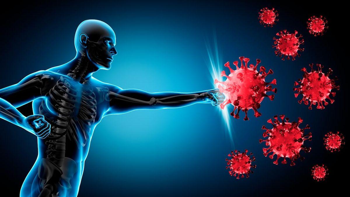 virus-nipah-Thailand.jpg