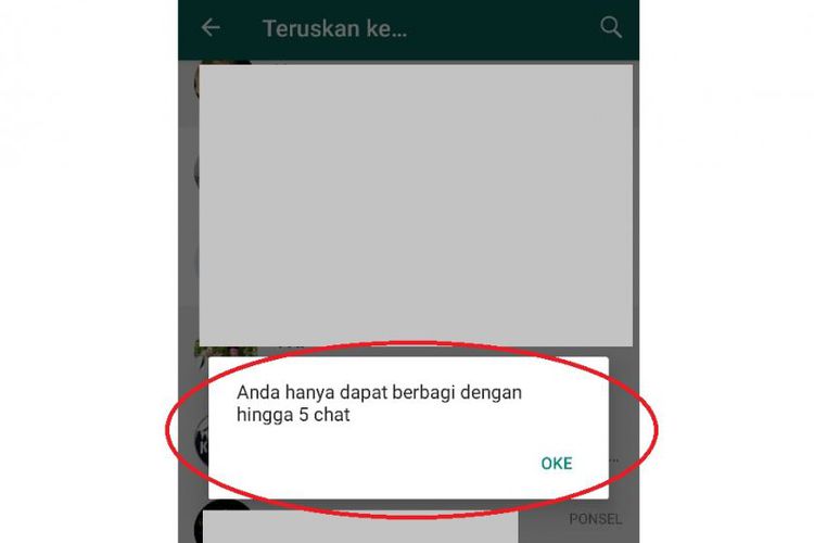 RESMI HARI INI, WhatsApp Batasi Forward Pesan Maksimal Lima Nomor, setelah Hoaks Telan Korban Jiwa