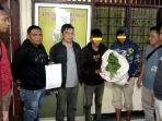 1-Kg-ganja-basah-Polsek-Binjai-Timur.jpg