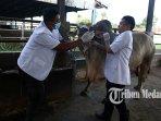 18052022_PEMERIKSAAN_KESEHATAN_SAPI_DANIL_SIREGAR_1jpg.jpg