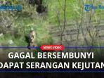 ANGKATAN-Bersenjata-Ukraina-Gagal-Bersembunyi-Terdeteksi-Unit-UAV-Rusia-Kirim-Serangan-Mendadak.jpg