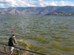 Air-Keruh-Danau-Toba_Kecamatan-Pangururan_.jpg
