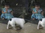 Anak-Dikurung-di-Dalam-Kandang-Anjing.jpg