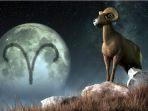 Aries-2.jpg