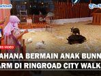 Bunny-Farm-di-Ringroad-City-Walks-Medanaa.jpg