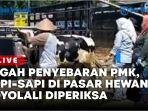 Cegah-Penyebaran-PMK-Sapi-sapi-di-Pasar-Hewan-Boyolali-Diperiksa.jpg