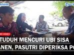 DITUDUH-Mencuri-Ubi-Sisa-Panen.jpg