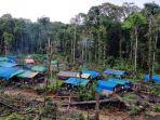 Distrik-Korowai-Papua.jpg
