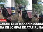 Efek-Makan-Buah-Kecubung-Pria-Ini-Lompat-ke-Atap-Rumah-Bak-di-Kolam-Renang.jpg