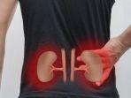 Gejala-Penyakit-Ginjal-Selain-Sering-Buang-Air-Kecil-Urine-Keruh-Sakit-Punggung-dan-Kejang-Otot.jpg