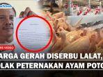 Gerah-Diserbu-Lalat-Warga-di-Langkat-Tolak-Peternakan-Ayam-Potong.jpg