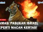 Hamas-sindir-Israel-macan-kertas.jpg