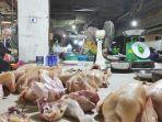 Harga-Ayam-Potong-di-Medan-masih-mahal_.jpg