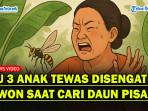 Ibu-Paruh-Baya-Tewas-Disengat-Tawon.jpg