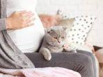 Ilustrasi-Bahaya-Kucing-Bagi-Ibu-Hamil_.jpg