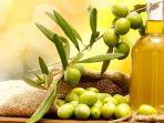 Ilustrasi-Buah-Zaitun.jpg