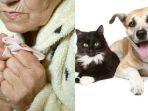 Inilah-alasan-pilu-nenek-tua-wariskan-harta-Rp442-miliar-untuk-kucing-dan-anjing-peliharaannya.jpg