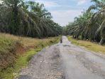 Jalan Rusak yang Menghubungkan 2 Desa di Langkat Ternyata Jadi Temuan BPK karena Kurang Volume