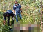 Jasad-Pria-Dtemukan-di-Kebun-Ubi-Deliserdang.jpg