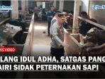 Jelang-Hari-Raya-Idul-Adha-Satgas-Pangan-Dairi-Sidak-Peternakan-Sapi-Cegah-Virus-PMK.jpg