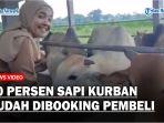 Jelang-Idul-Adha-2023-50-Persen-Sapi-Kurban-di-Peternakan-Tabebuya-Farmland-Sudah-Dibooking-Pembeli.jpg