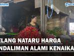 Jelang-Nataru-Harga-Andaliman-alami-kenaikanvv.jpg