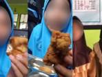 KOMENTARI-MENU-MBG-Viral-di-media-sosial-medsos-siswi-SMP-di-Lombok-Timur-mengomentari.jpg