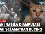 Kisah-pilu-Nabila-bocah-SD-yang-selamatkan-kucing-di-jalan.jpg