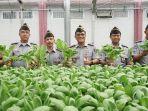 Kreatif-dan-Produktif-WBP-Lapas-Medan-Sukses-Panen-Hidroponik.jpg