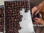Kue-Kering-Lebaran-2025_Ika-Cookies_.jpg