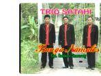 Lirik Lagu Batak Bunga Namalos, Dipopulerkan Trio Satahi