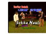 Lirik Lagu Batak Sekka Nauli Dipopulerkan oleh Rany Simbolon