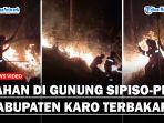 Lahan-di-Gunung-Sipiso-Piso-Dilahap-Si-Jago-Merahfff.jpg