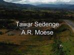 Lirik-Lagu-Aceh-Tawar-Sedenge-by-AR-Moese.jpg