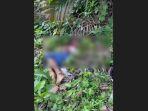 Pembunuh Sopir Taksi Online di Deli Serdang yang Buang Mayat di Kutalimbaru Dituntut Seumur Hidup