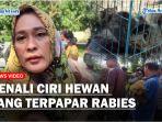 Menurut-dokter-DKP3-Kota-Medan-Dara.jpg