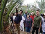 Musa-Rajekshah-mengunjungi-kebun-kurma-di-Tanah-Karo_.jpg