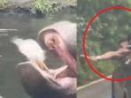 NASIB-Pengunjung-Norak-Lempar-Sampah-ke-Mulut-Kuda-Nil-dan-Hidung-Rusa-di-Taman-Safari-Bogor.jpg