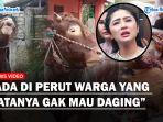 Nasib-Sapi-Dewi-Perssik-Usai-Cekcok-dengan-Pak-RT-Ada-di-Perut-Warga-yang-Katanya-Gak-Mau-Daging.jpg