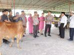 Nicolas-Sidabutar-menyerahkan-sapi-pada-Rabu-28062023.jpg