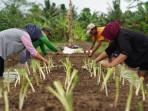 PETANI-MUDA-Sejumlah-anggota.jpg
