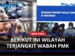 Penyakit-Mulut-dan-Kuku.jpg