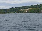 Selain Pariwisata, Sektor Ini Penting Dikembangkan Pemerintah di Kawasan Danau Toba