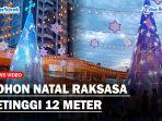 Pohon-Natal-Raksasa-Setinggi-12-Meter-di-delipark-Medana.jpg