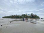 Pulau-Pane-di-Tapteng.jpg