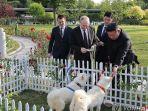 Putin-menerima-anjing-Pungsan.jpg